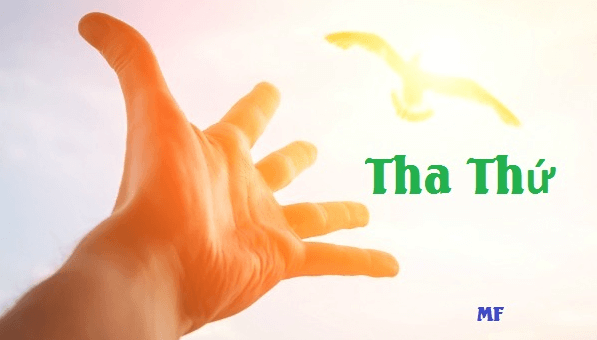 Tha Thu Muon Mang Nguyen Duy Tri • Di Tim Em • 2023