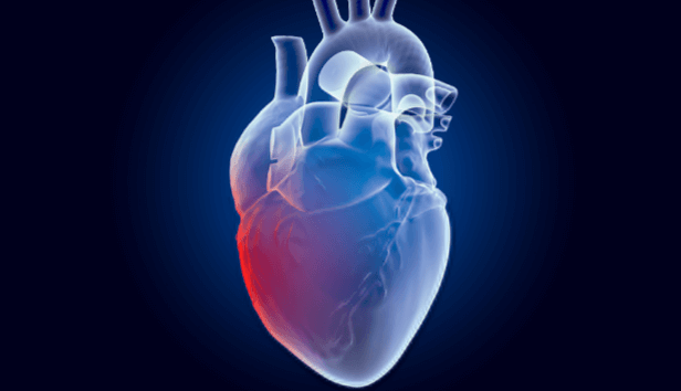 transparent:htzvcyramn8= heart