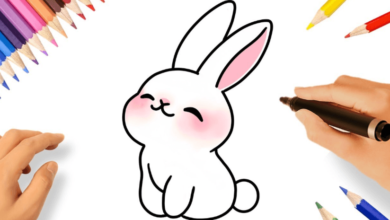 Anime:38wymi1czly= Cute Bunny Drawing