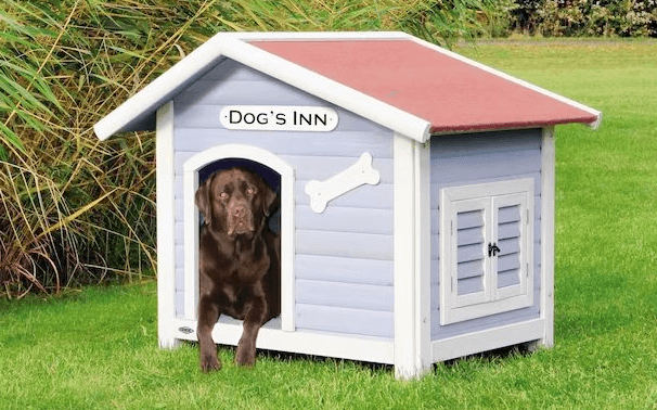  Luxury:_Wzjfqpebvy= Dog House
