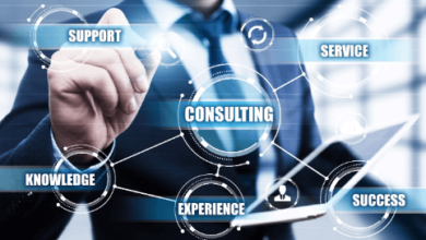 Consulting Services