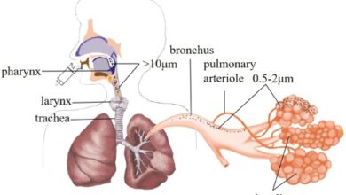 Breathing Easy How TCM for Lungs Can Transform Your Health