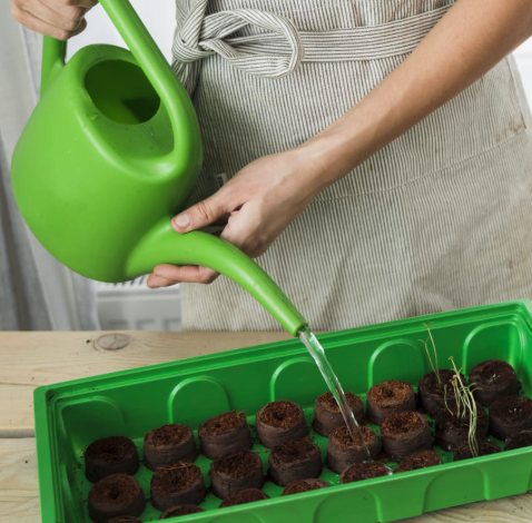 Why Every Gardener Should Use Coconut Coir for Plants.