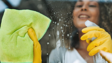 Professional Window Cleaning Services: The Complete Guide to Clear, Sparkling Windows