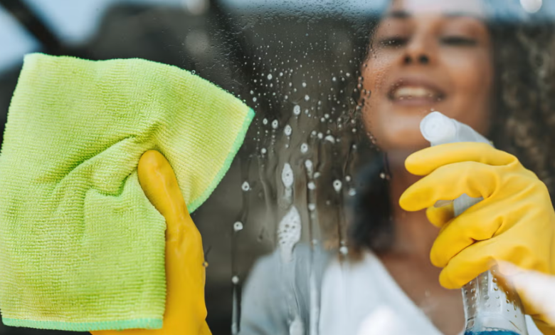 Professional Window Cleaning Services: The Complete Guide to Clear, Sparkling Windows