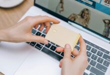 advanced web framework for online use