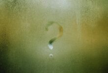 bold ideas for change