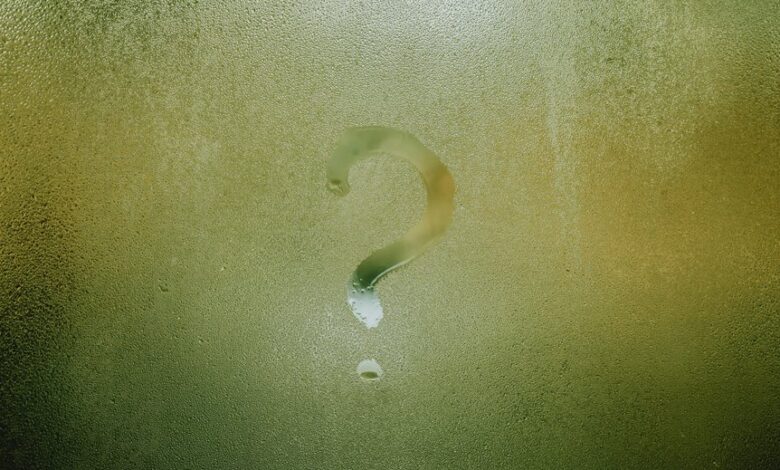 bold ideas for change