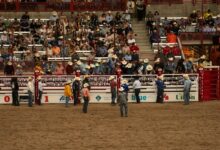 dynamic competitive momentum launch