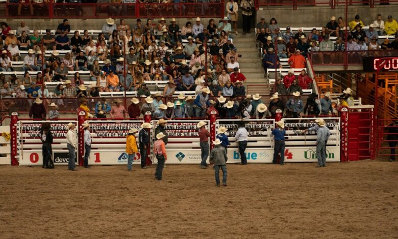 dynamic competitive momentum launch