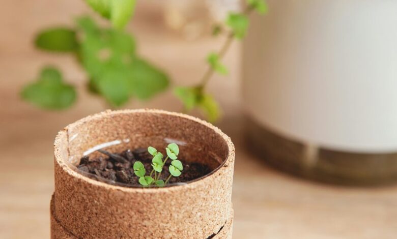 emerging markets trailblazing potential