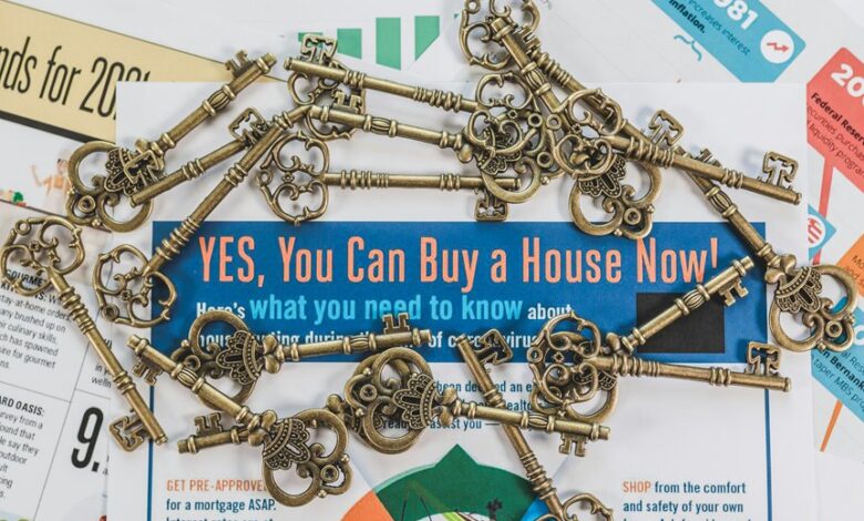 market opportunity initiatives launch