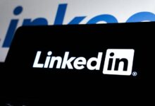 professional digital network growth