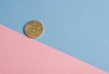 professional digital system growth