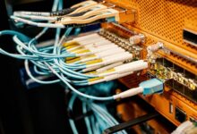 professional online network expansion identifier