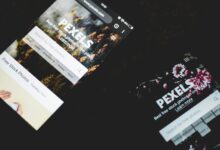 professional web model for online use