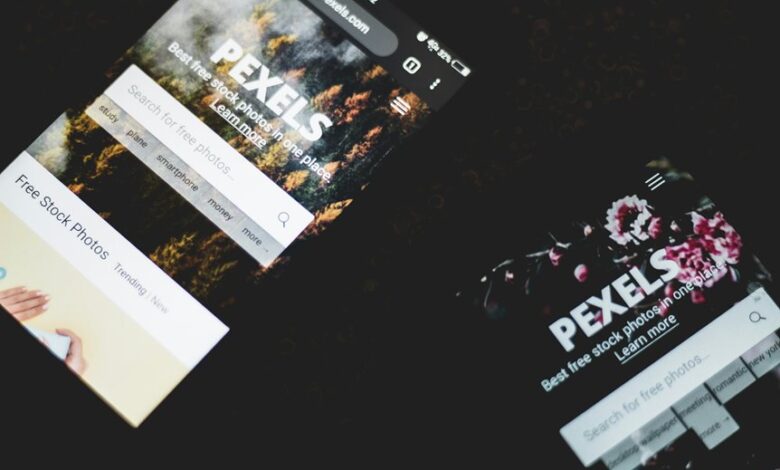 professional web model for online use