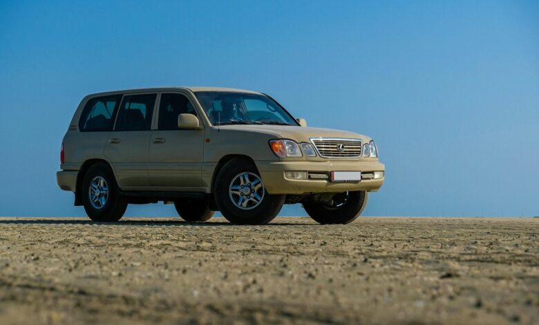 reliable online platform stability