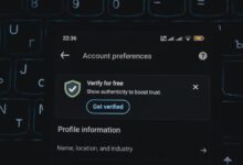caller safety insight hub scam check verification