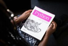 python software usage guidance best practice