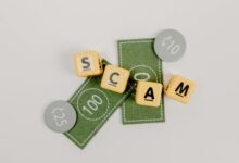 scam detection insight hub