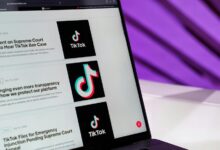 website discovery hub for entertainment queries