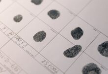 access public registry records