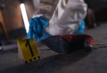 explore verified registry evidence numbers