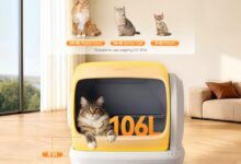 How to Choose the Best Automatic Cat Litter Box