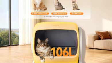 How to Choose the Best Automatic Cat Litter Box