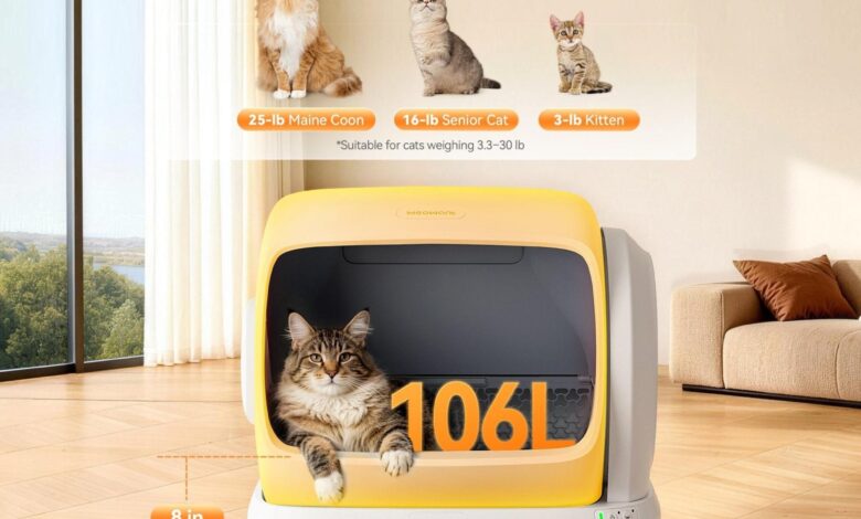 How to Choose the Best Automatic Cat Litter Box