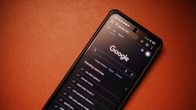 number registry search results for specific ids