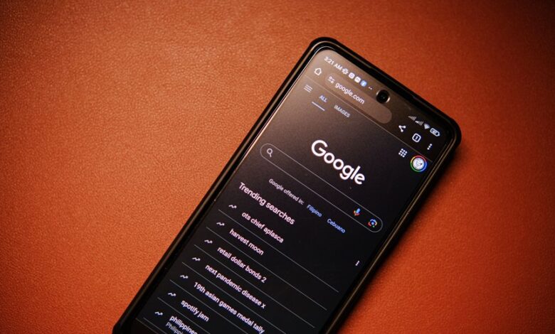 number registry search results for specific ids