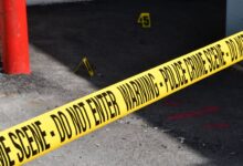 registry entries reveal investigations ongoing