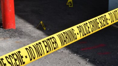 registry entries reveal investigations ongoing