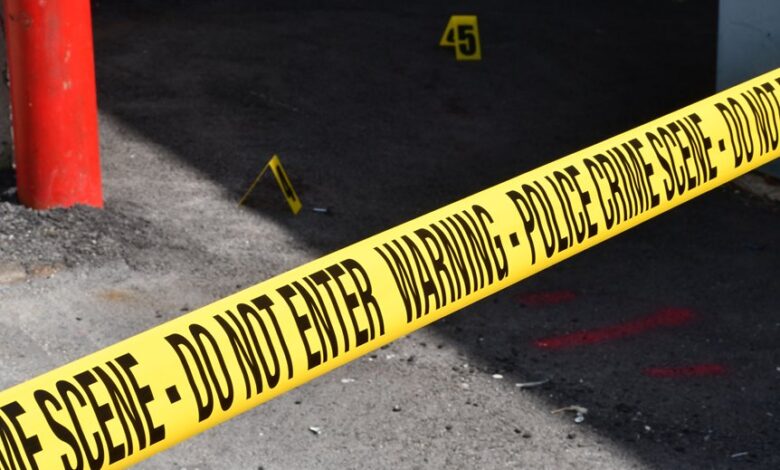 registry entries reveal investigations ongoing