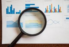 registry insights numbers listed