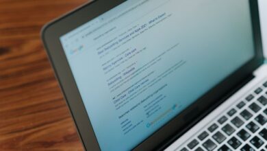 registry lookup results identified by number series