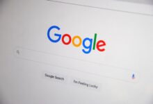 registry search results five ids listed