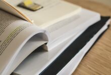 study registry numbers and ids