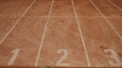 track numbers linked to registry ids